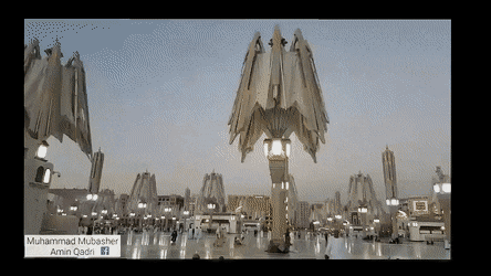 사우디 대형우산.GIF | 인스티즈