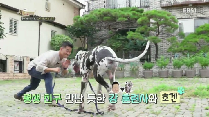 강형욱 훈련사에게 감탄한 세나개 제작진과 견주들.jpg | 인스티즈