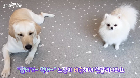 "먹어" 대신 다른말을 해보았습니다 | 인스티즈