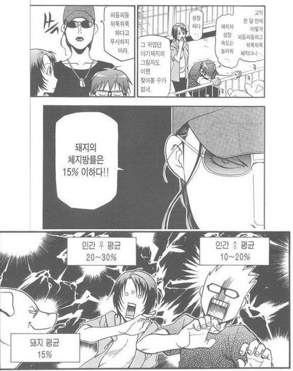 돼지의 실체.jpg | 인스티즈