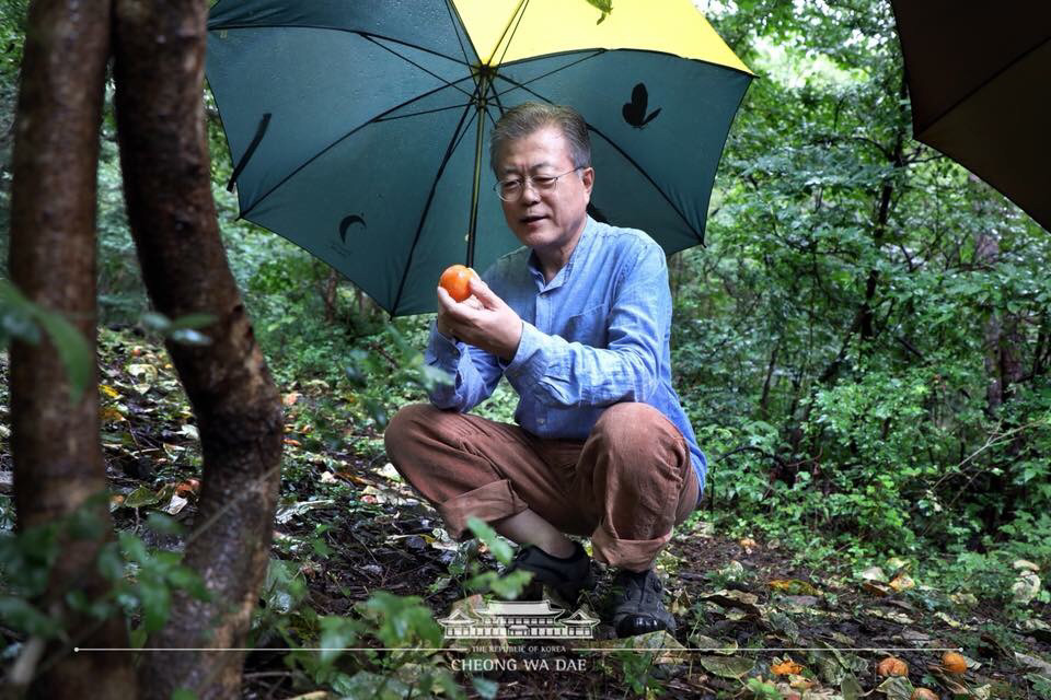 문재인 대통령의 휴식.jpg | 인스티즈