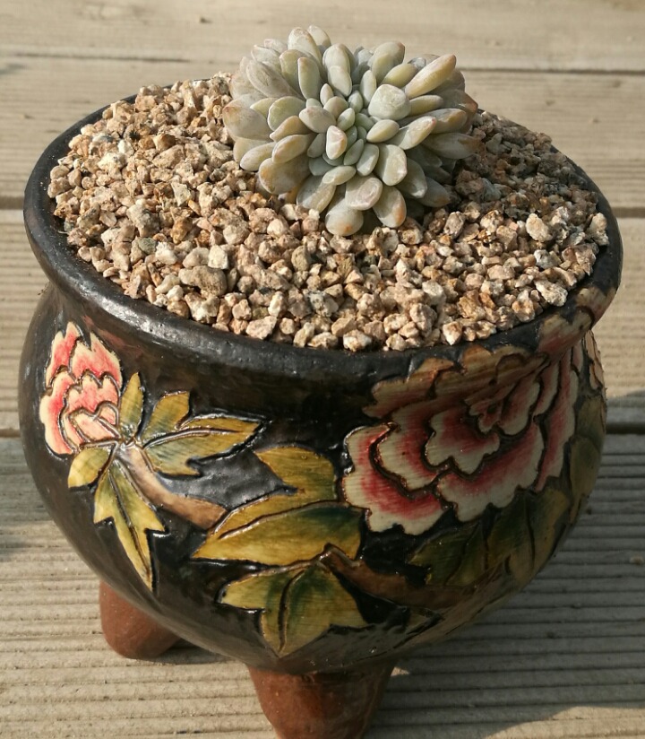 라우 이미지