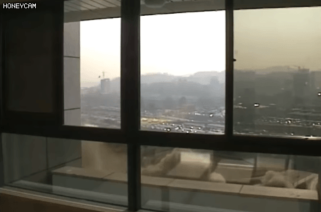 대한민국 상남자시절 건물철거.gif | 인스티즈