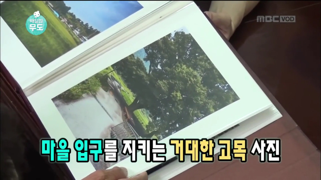 8살때 떠나온 고향을 영상과 사진으로 만나는 할머님 | 인스티즈