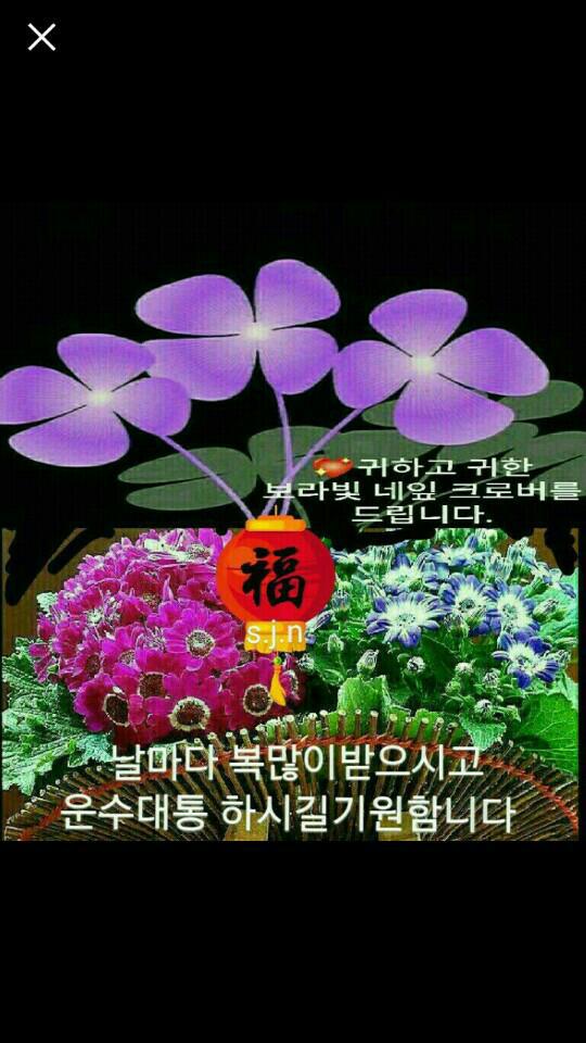 행복꽃 이미지