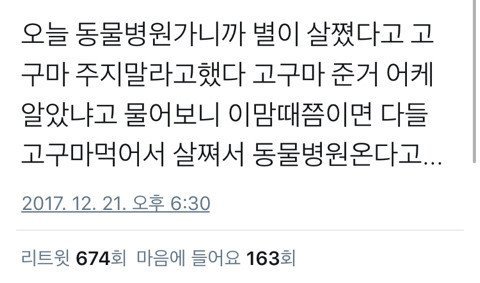 댕댕이 고구마 먹는 시즌....jpg | 인스티즈