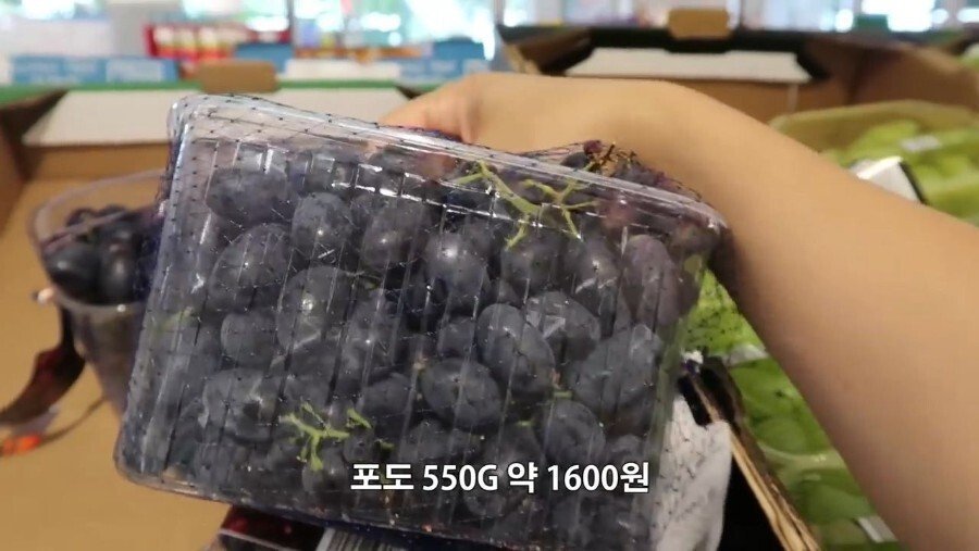 독일에서 마트 장보기.jpg | 인스티즈