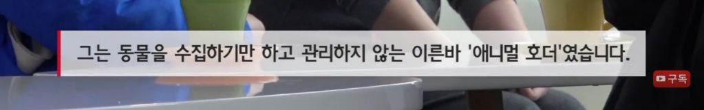 마산 애니멀 호더에게서 구조한 50여마리의 고양이들에게 손길을 내밀어주세요! 곧 쉼터가 폐쇄되어 아이들이 갈 곳이 없습니다 | 인스티즈