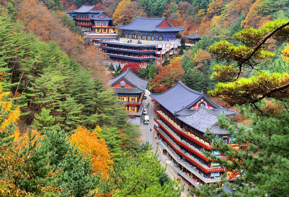야단법석 이미지