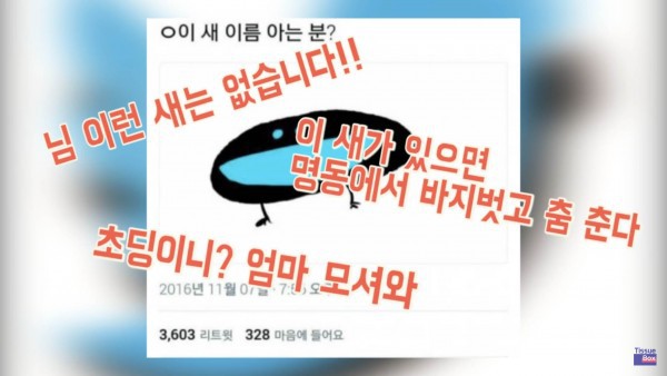 초딩아 이런 새가 어디있냐 ㅋㅋㅋ | 인스티즈