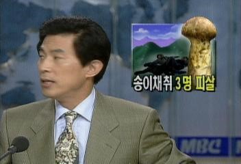 강릉 무장공비 사건 당시 일화 | 인스티즈
