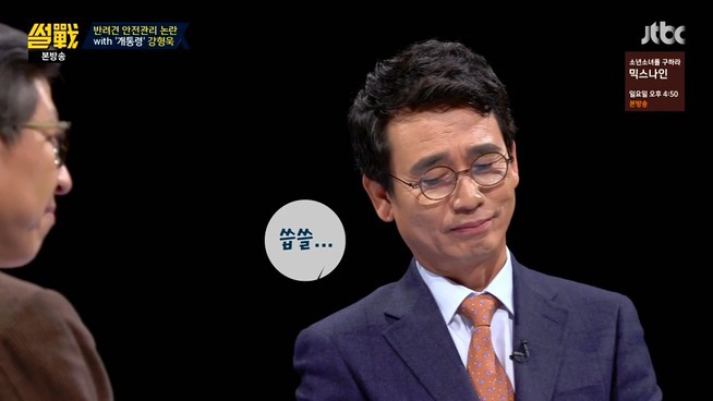 [썰전] 시바견 | 인스티즈