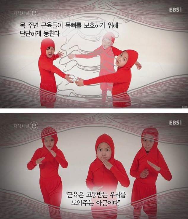우리의 근육이 바쁜 이유 | 인스티즈