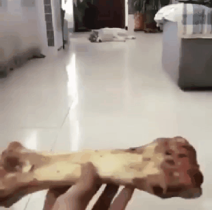 무궁화 꽃이 피었습니다 gif | 인스티즈