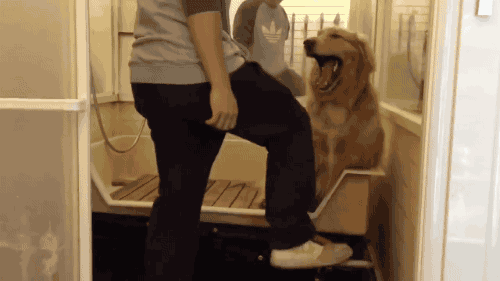 목욕하는 인절미.....gif | 인스티즈