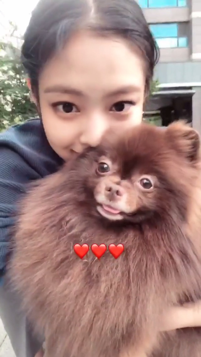 블랙핑크 짤털이.jpg | 인스티즈