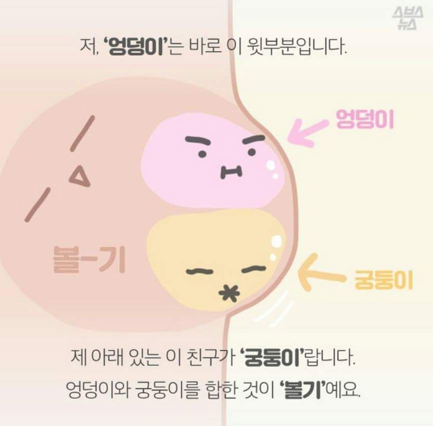 엉덩이의 진실 | 인스티즈