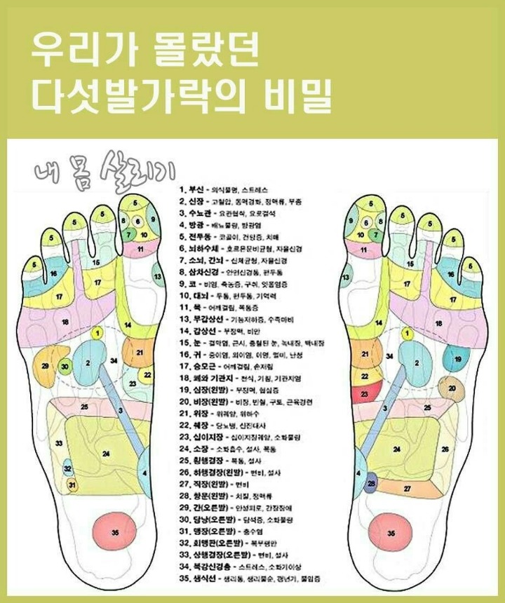 다섯발가락 이미지