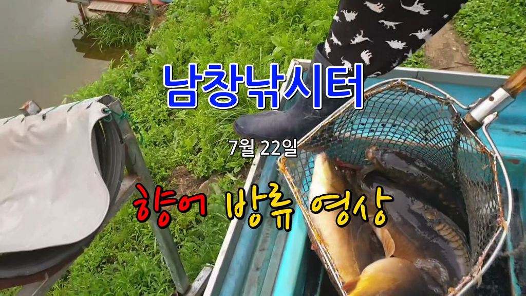 오늘은향어 이미지