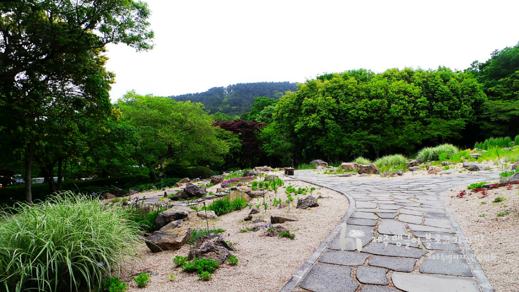 한라수목원 이미지