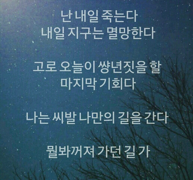 욜로욜로 이미지