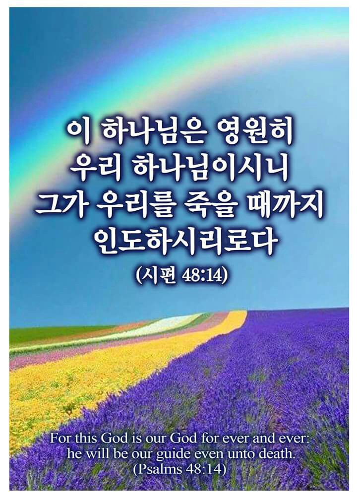 한길 이미지