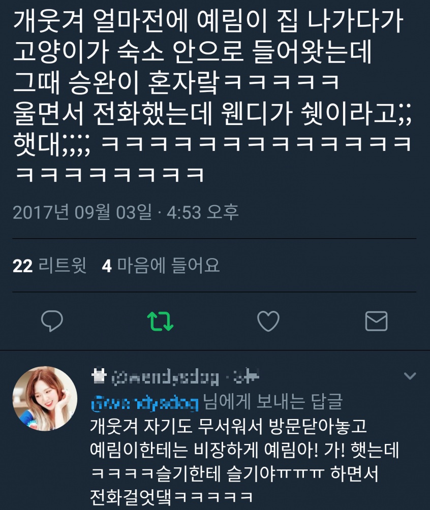 [레드벨벳] 조이 생파에 공개된 시트콤 같은 숙소에 고양이 난입한 일화ㅋ | 인스티즈