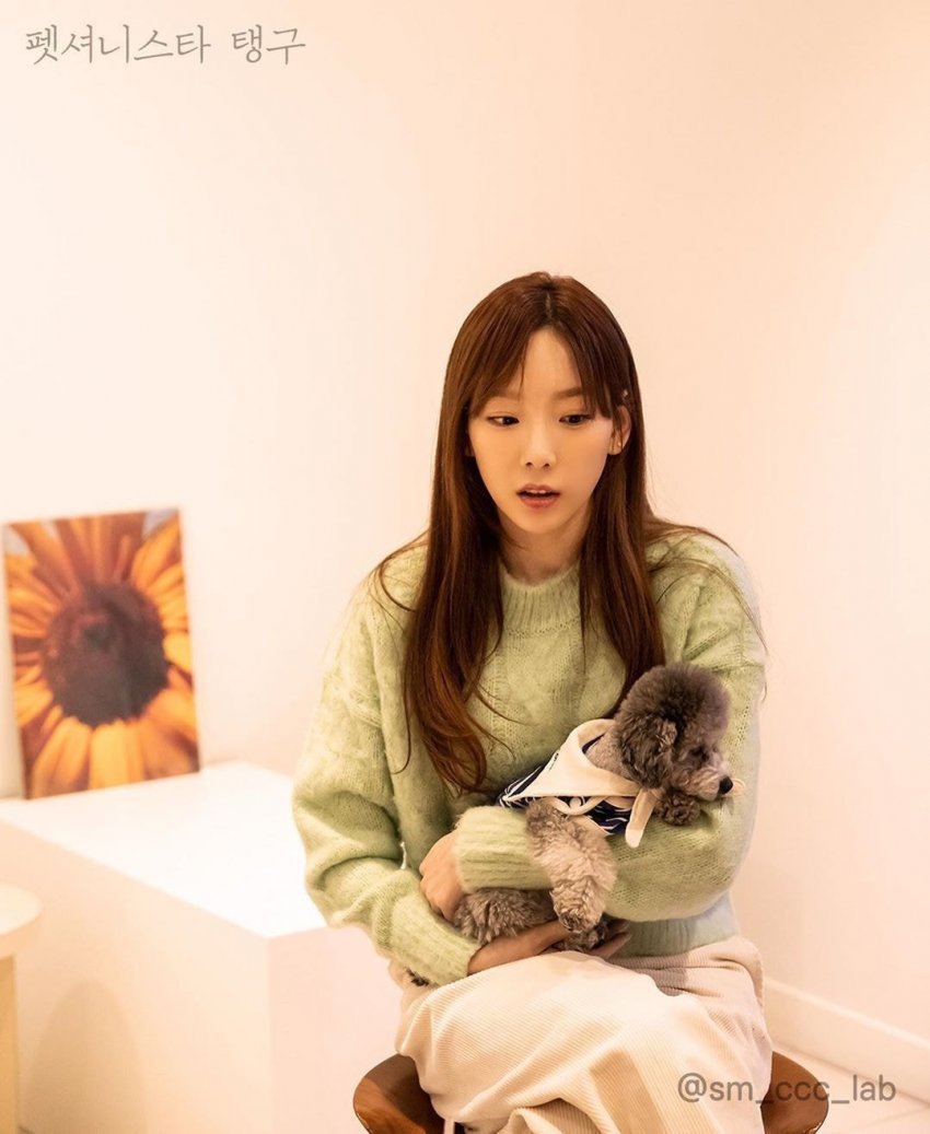 995C8A405E54065B08F578