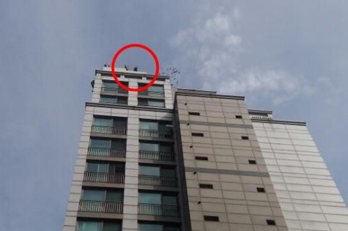 주상복합 옥상서 난동 중년남성 5m 아래 추락..의식불명(종합) | 인스티즈