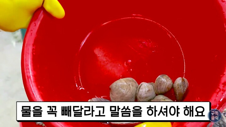 대게나 킹크랩살때 바가지 안당하는 방법!!! | 인스티즈