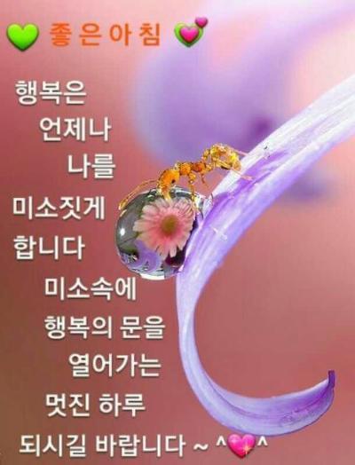 (주)아리한 이미지
