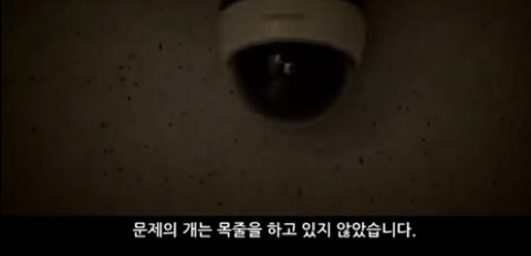 한일관 대표 이웃집 개에 물려 사망 | 인스티즈