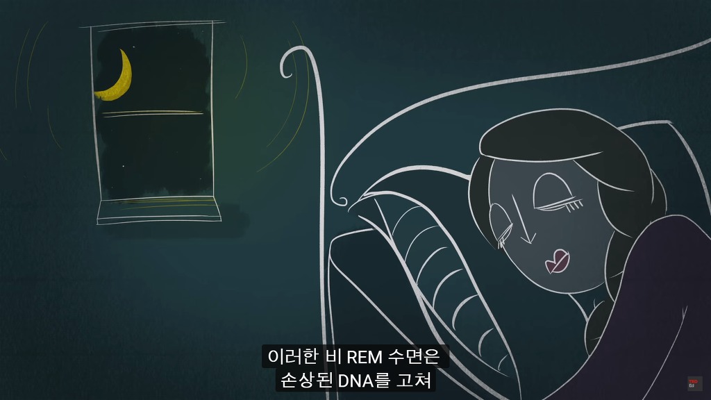 잠을 자지않는다면 우리몸에 어떠한 변화가 일어날까?.JPG | 인스티즈