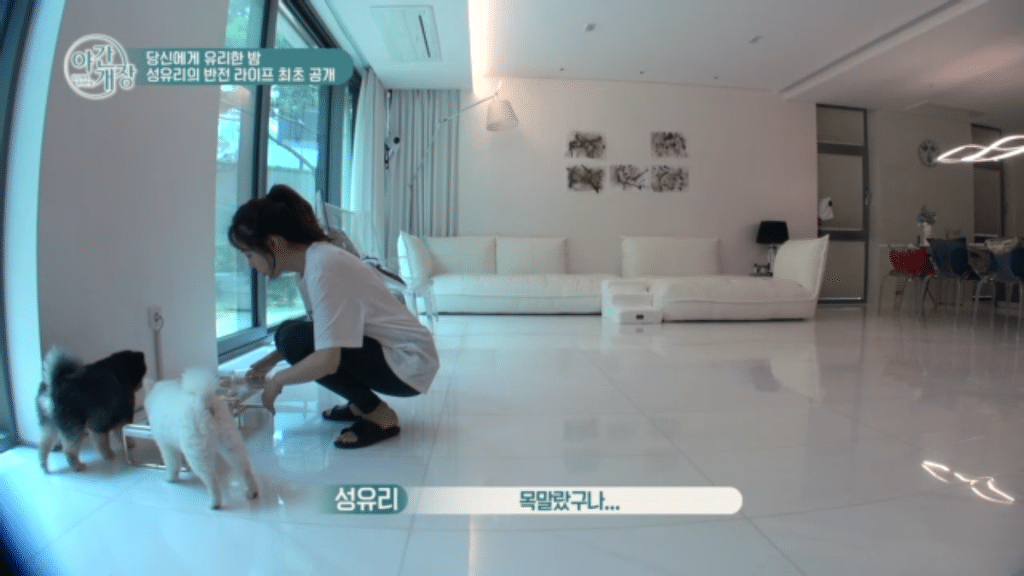 핑클의 화이트 이름값하는 성유리 집 인테리어.jpg | 인스티즈
