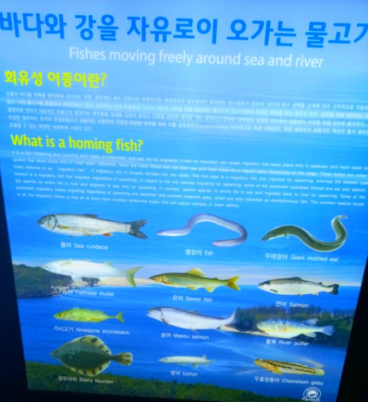 (주)경포아쿠아리움 이미지
