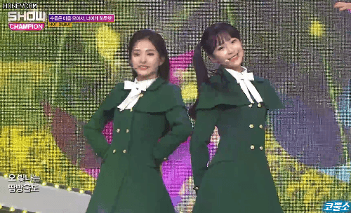 오늘자 백지헌.gif | 인스티즈