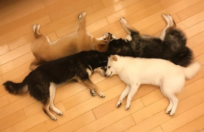 개판이네 | 인스티즈
