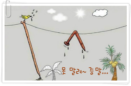 시골오리 이미지