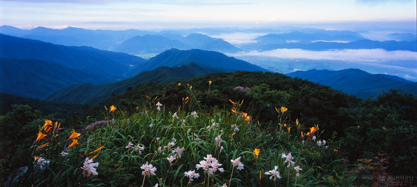 지리산 노고단의 풍경 | 인스티즈