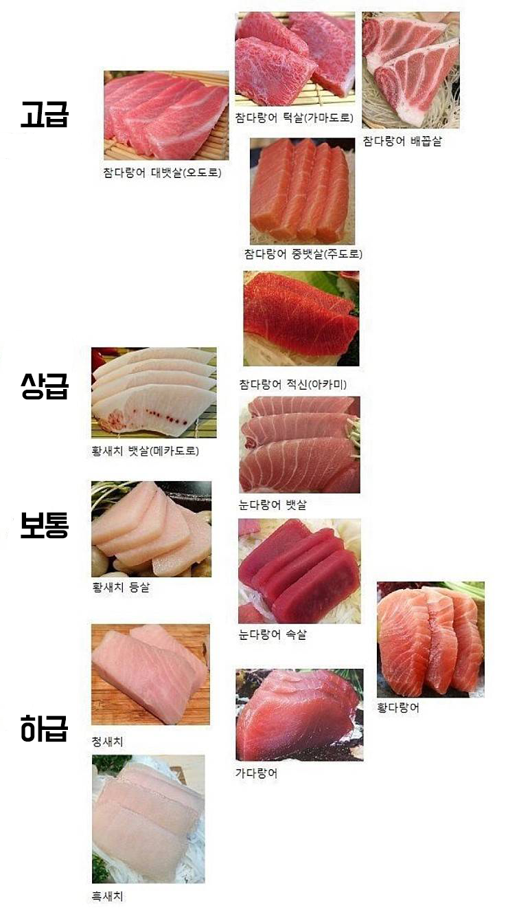 참치회 알고먹기.jpg | 인스티즈