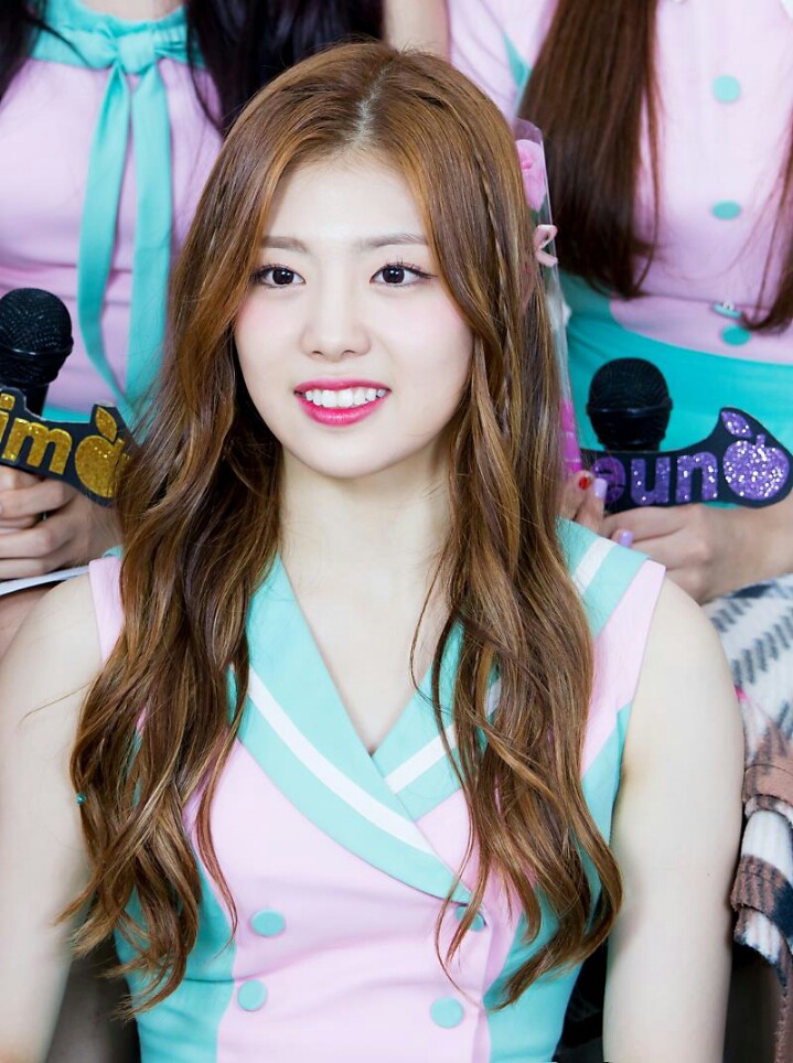 샌디 이미지