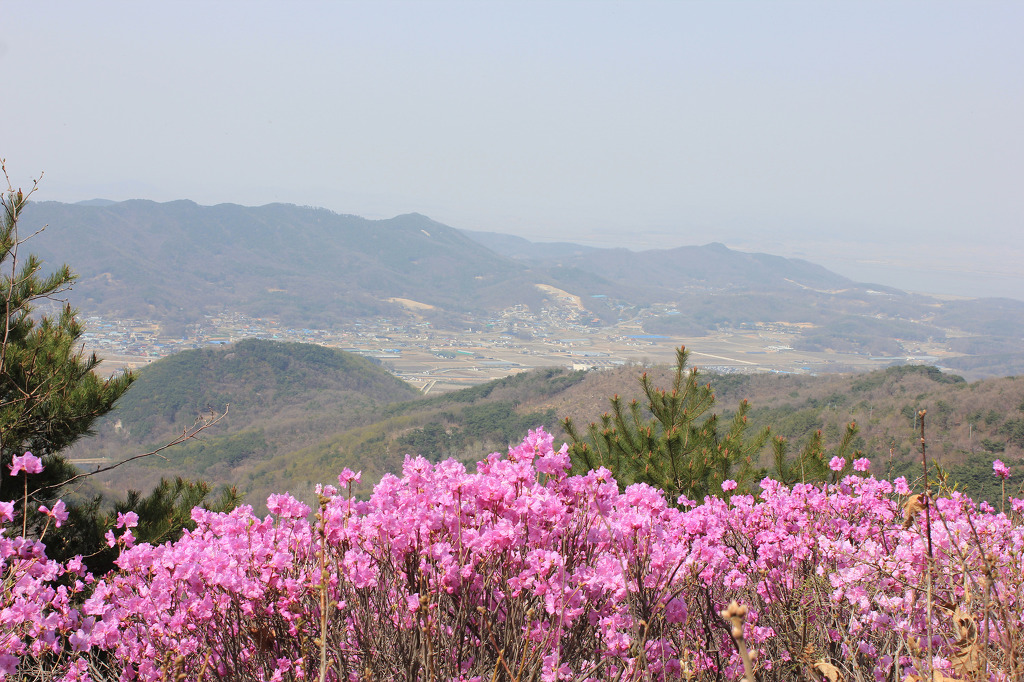 고려산 이미지