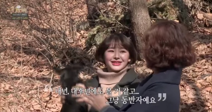 [세나개] 여러분에게 노견은 어떤 의미인가요? | 인스티즈