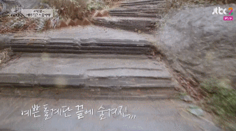 블랙핑크 리얼리티 숙소 인테리어.gif | 인스티즈