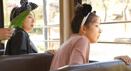 한 그룹에 공존하는 누구보다 예민한 사람과 누구보다 둔감한 사람ㅋㅋㅋㅋㅋㅋ(feat.레드벨벳) 추가 | 인스티즈