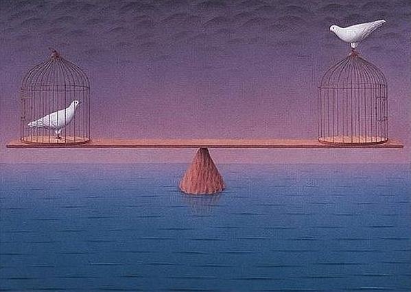 여러분들이 새장밖의 새라면 선택은? | 인스티즈