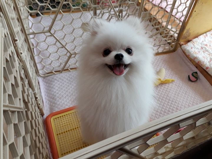 호텔루이 이미지