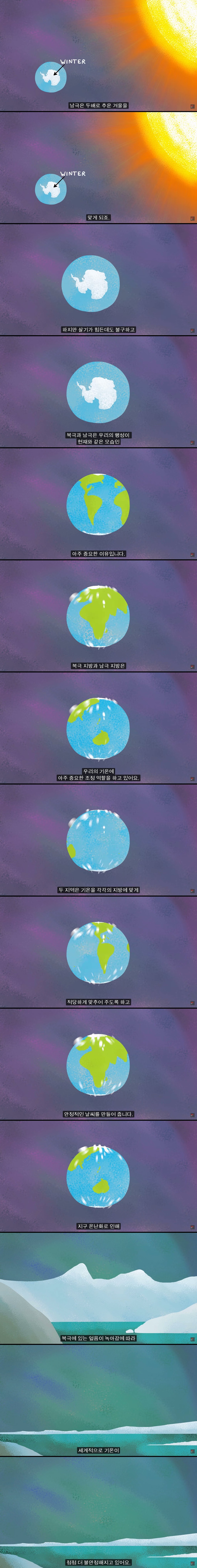 북극과 남극의 차이점을 아시나요?.jpg | 인스티즈