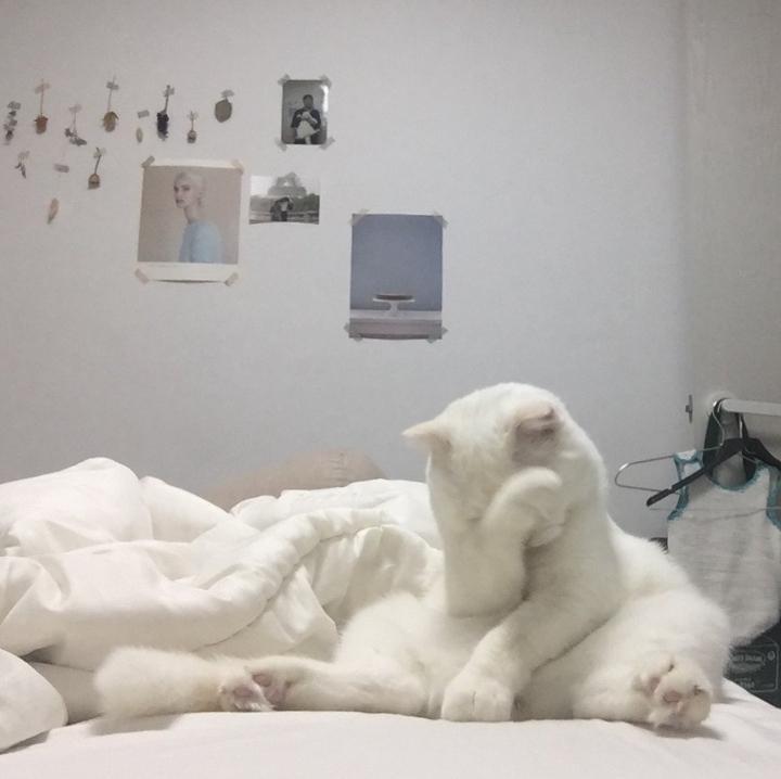 베티 이미지