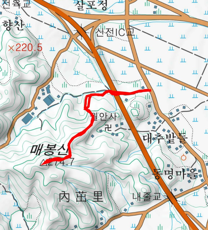 달본 이미지
